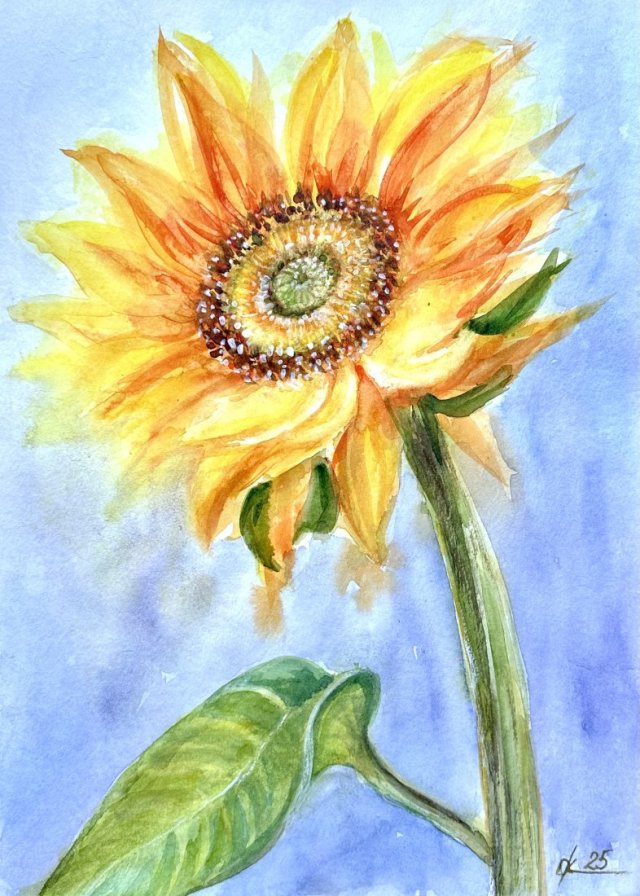Kwiat Słońca akwarela 42/30 cm, A3