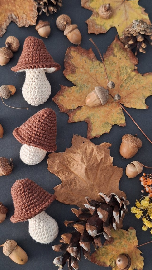 Zestaw trzech szydełkowych grzybków – brązowa jesień w wersji handmade (2)
