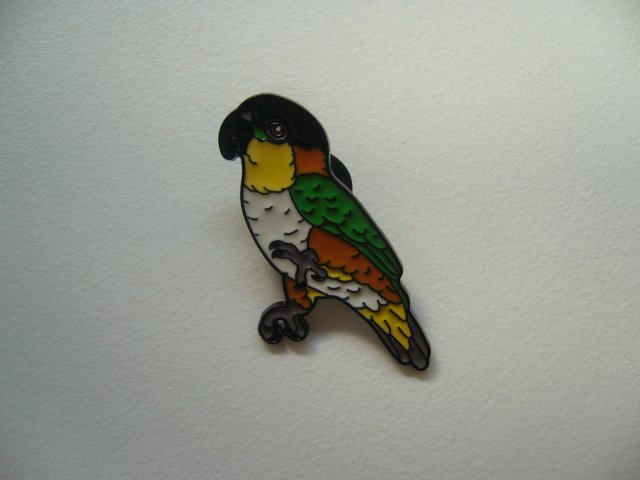 PIN PRZYPINKA BROSZKA PAPUGA