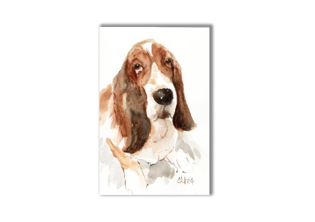 Basset hound akwarela ręcznie malowana