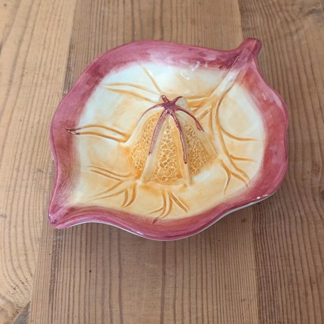 Ceramiczna wyciskarka do cytrusów Made on Italy