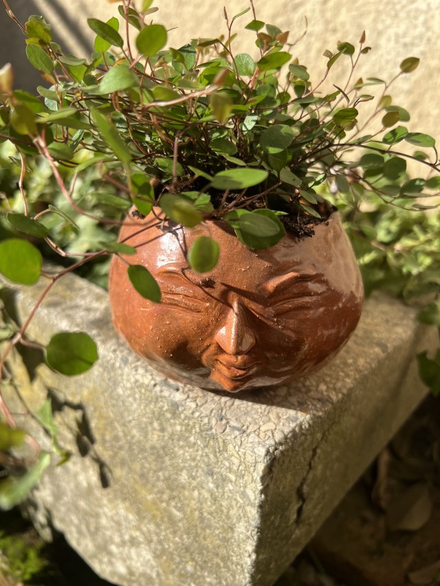 Zabawna doniczka z motywem twarzy (bez kwiatka)