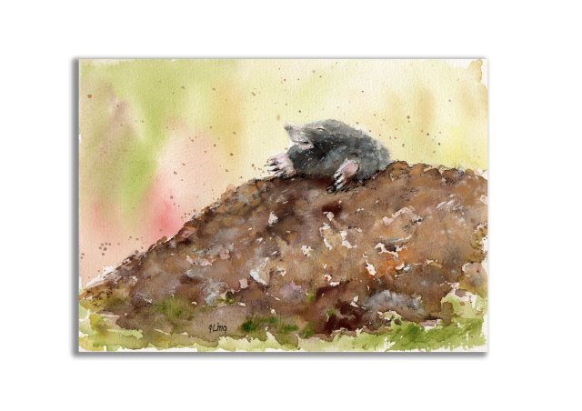 Kret. Akwarela ręcznie malowana