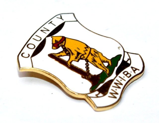 COUNTY WWIBA przypinka broszka ENGLAND vintage