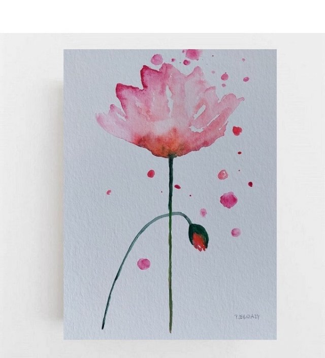 Maki - obraz  akwarela