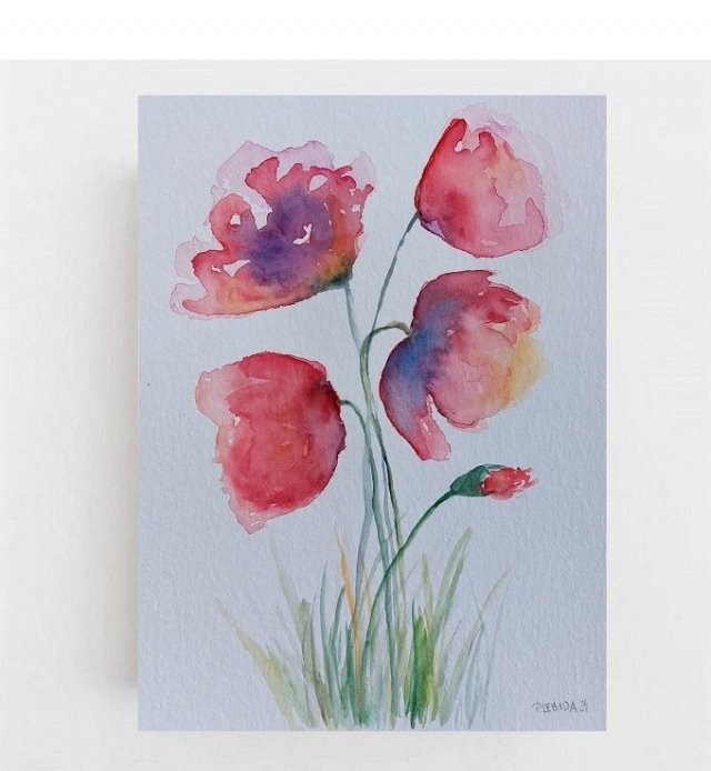 Maki - obraz  akwarela