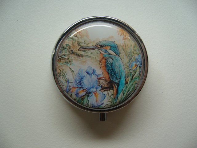 PIGULARZ PTAK ZIMORODEK