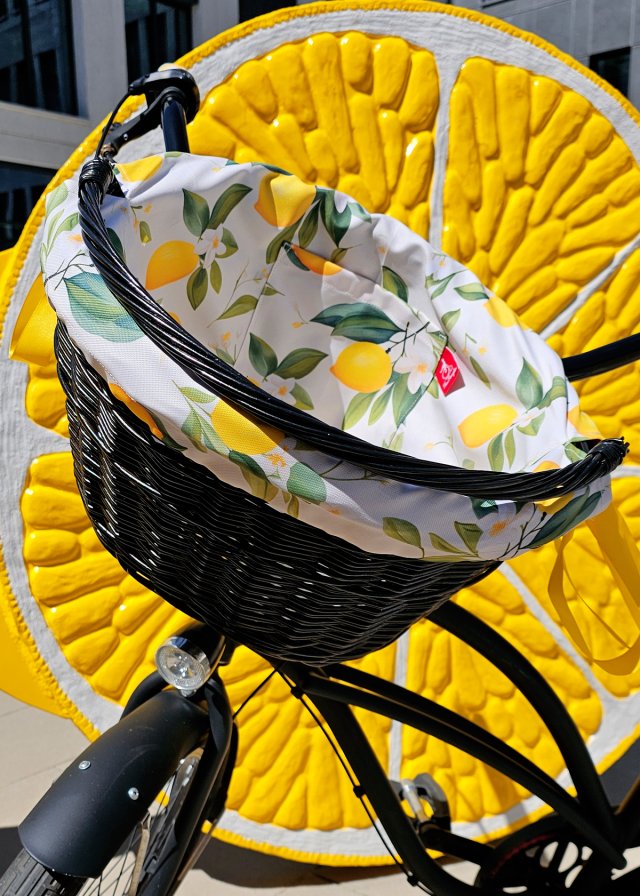 Koszyk  z wkładem  CYTRYNY