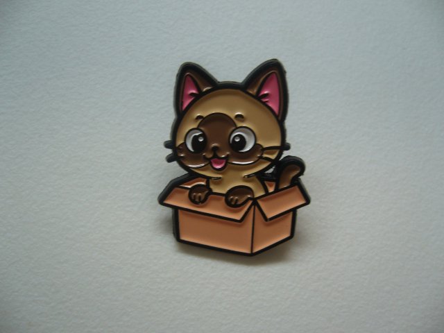 PIN PRZYPINKA KOTEK W KARTONIE