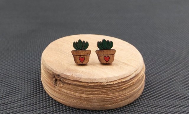 Kolczyki drewniane SUKULENTY