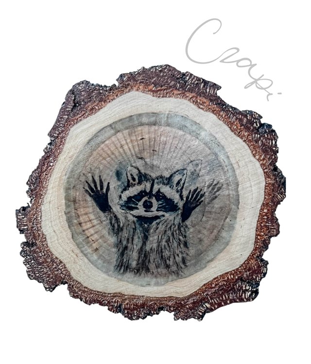 Szop - grafika na brzozowym plastrze