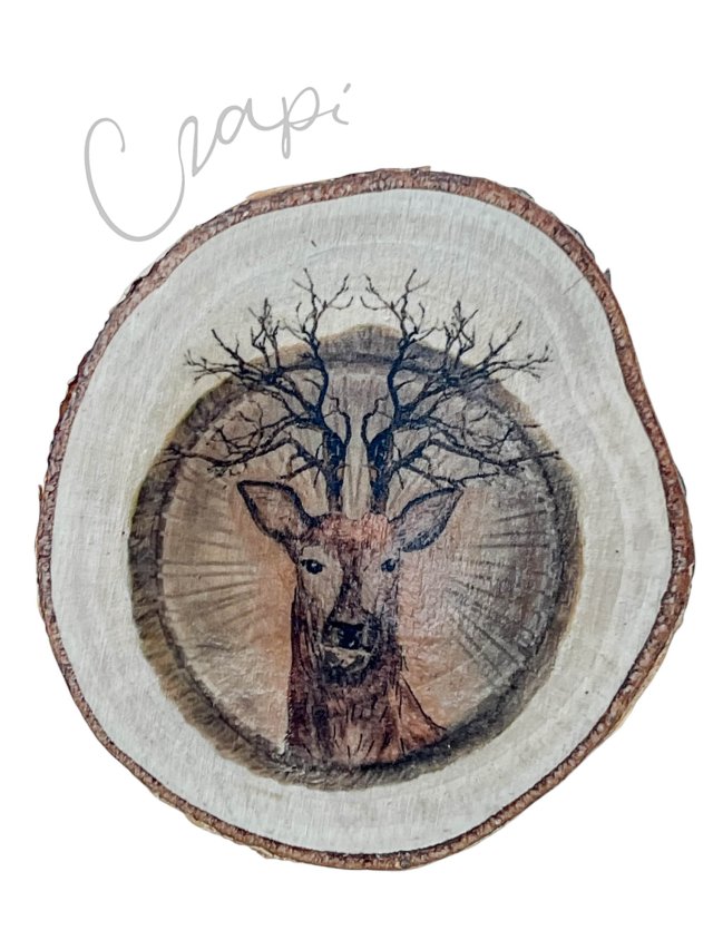 Jeleń - grafika na brzozowym plastrze