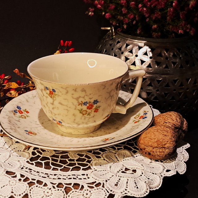 W.S. Mayer & Comp duża filiżanka i spodek Czechosłowacja