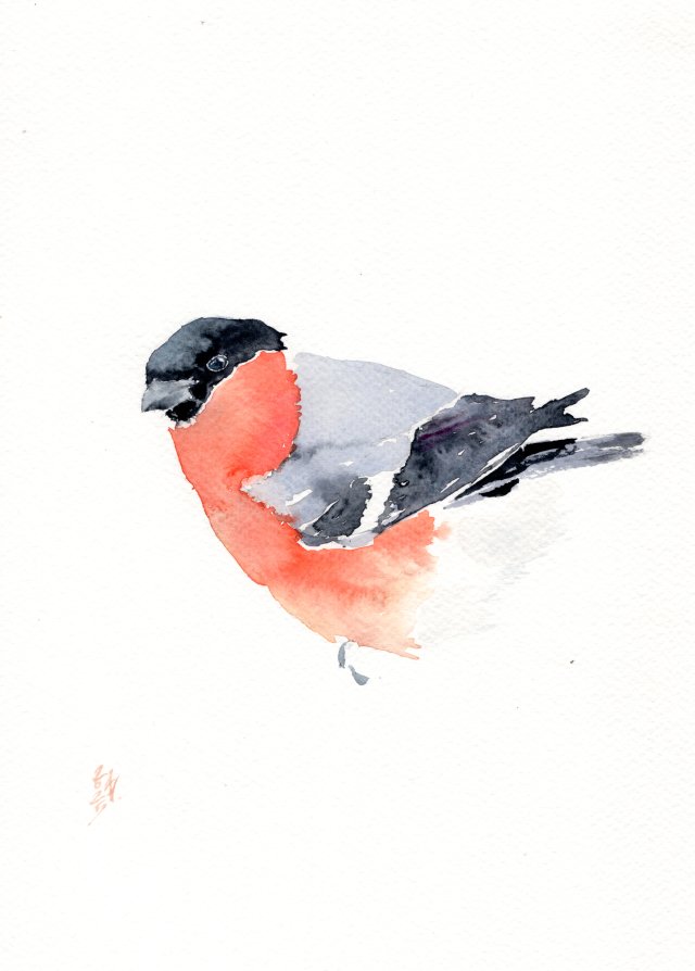 Oryginalna akwarela. Gil