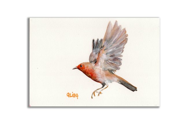 Akwarela ręcznie malowana  "Rudzik" ptak