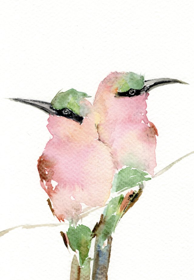 Oryginalna akwarela. Żołny