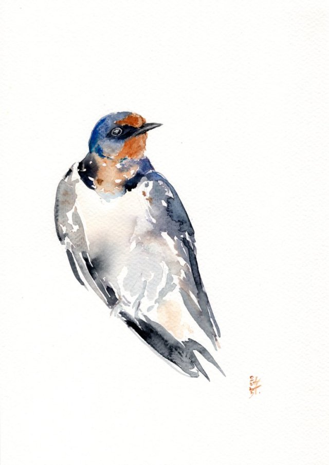 Oryginalna akwarela. Jaskółka