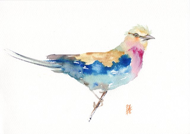 Oryginalna akwarela. Kraska