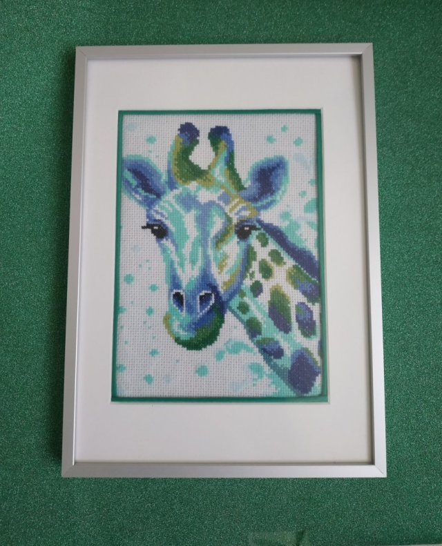 SAFARI NA CHŁODNO ŻYRAFA