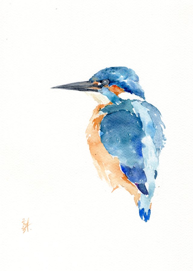 Oryginalna akwarela. Zimorodek