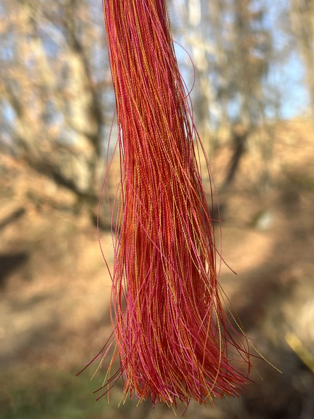 Żyj po swojemu I - kolczyki