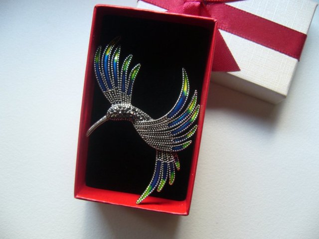 BROSZKA PTAK KOLIBER