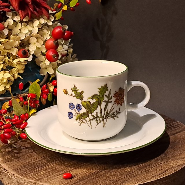 Niemiecka porcelana filiżanka i spodek Eversberg Botanica