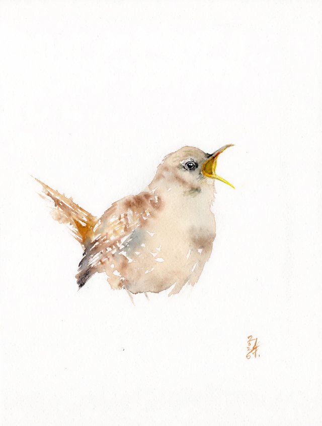 Oryginalna akwarela. Szczygieł