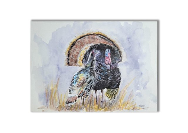 Indyk. Akwarela ręcznie malowana ptaki.