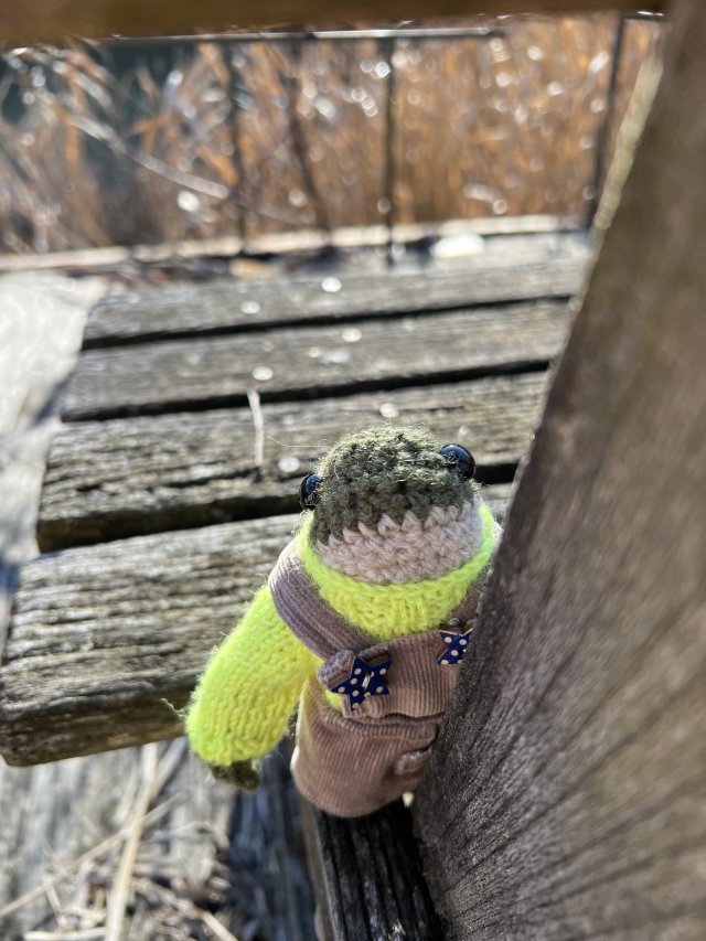 Ręcznie robiona żabka – Unikatowa dekoracja / Amigurumi (13 cm)