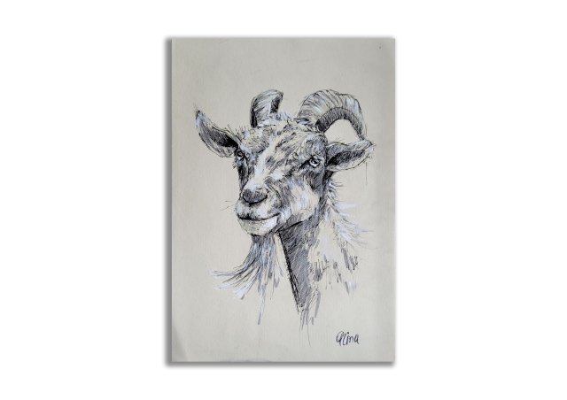 Grafika ręcznie malowana "Koza" kozioł