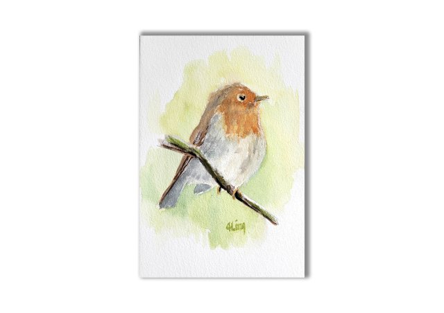 Akwarela ręcznie malowana  "Rudzik" ptak + rama