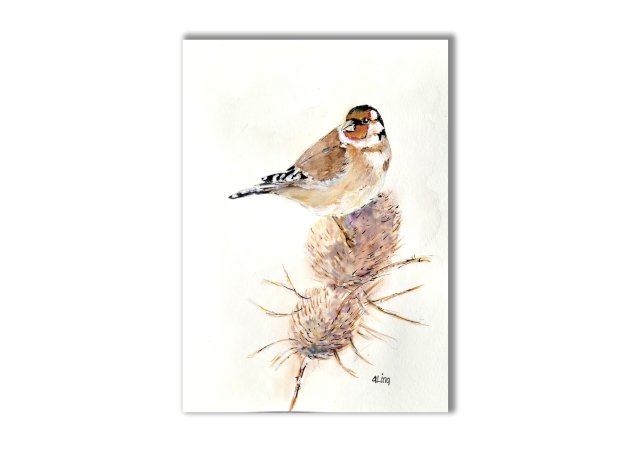 Akwarela ręcznie malowana  "Szczygieł" ptak