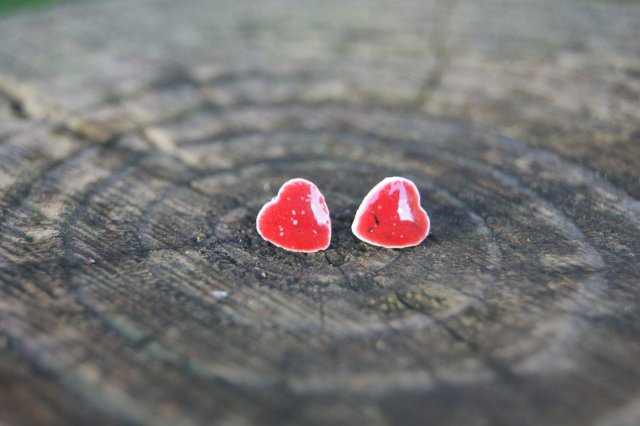 Serduszka z Makowej Polany - Ceramiczne kolczyki sztyfty