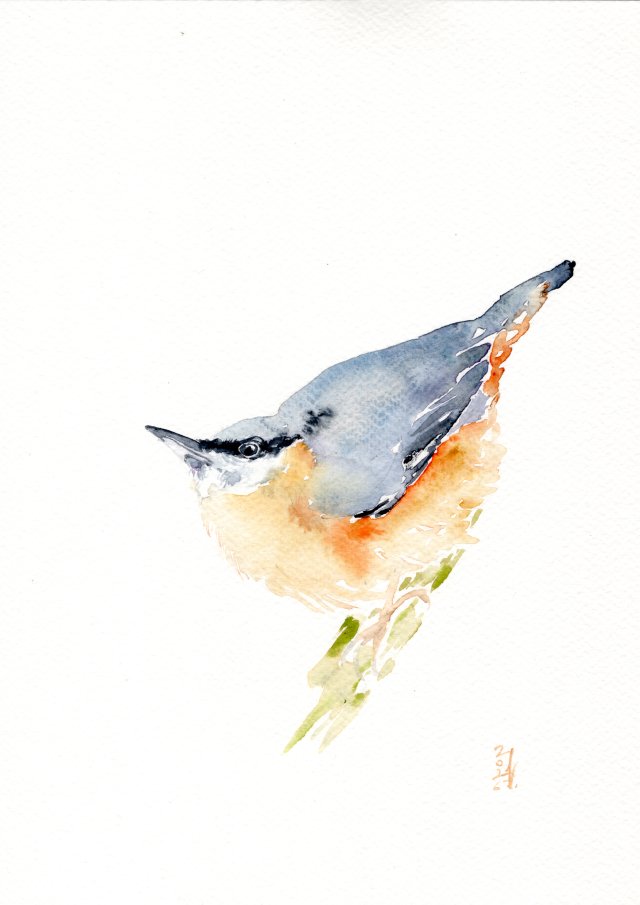 Oryginalna akwarela. Kowalik