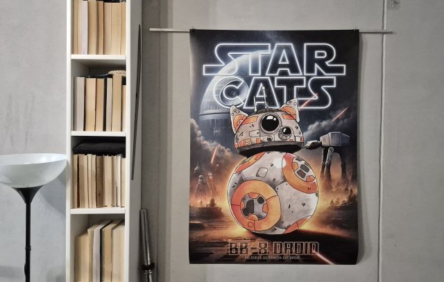 Plakat KOT Gwiezdne Wojny -  format B1 - 100cm x 70cm