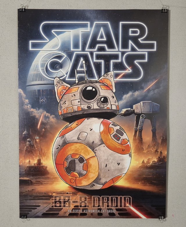 Plakat KOT Gwiezdne Wojny Star Wars - Format A4
