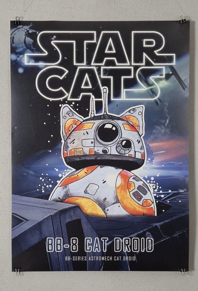 Plakat KOT Gwiezdne Wojny - B2 - 50cm x 70cm
