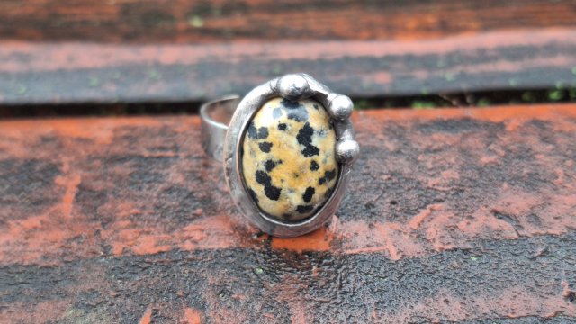 Dalmatyńczyk - pierścionek regulowany