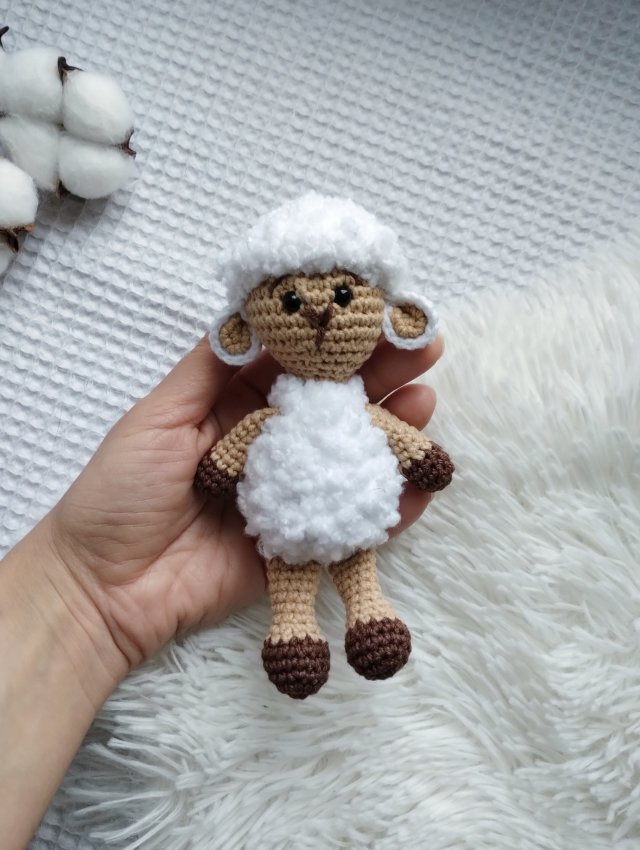 mini owca, owieczka, baranek