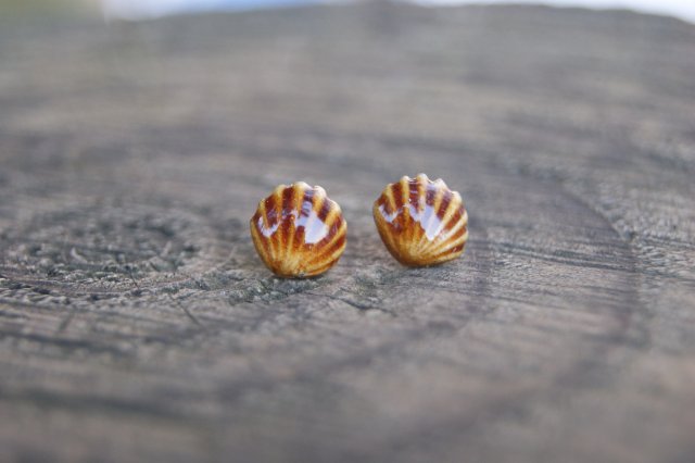 Kolczyki Muszelki "Bursztynowy Brzeg" - ceramiczne sztyfty