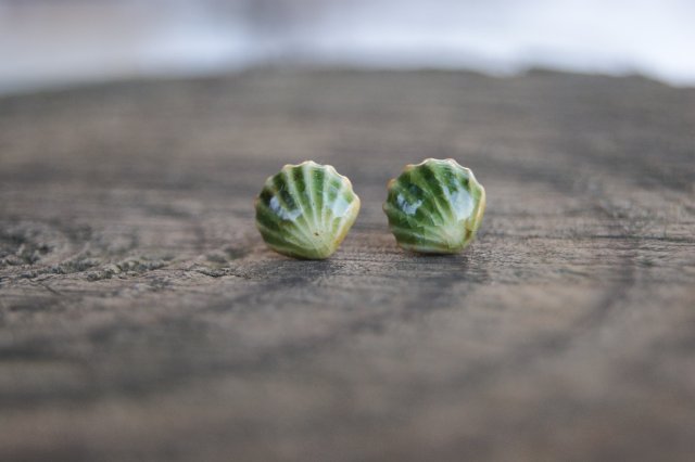 Kolczyki Muszelki "Wiosenny Brzeg" - ceramiczne sztyfty