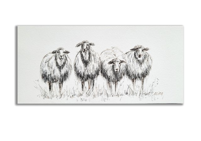 Obraz ręcznie malowany "Owce"
