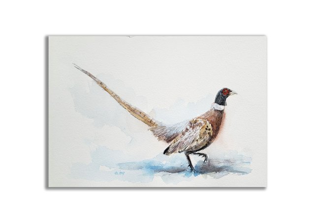 Akwarela ręcznie malowana  "Bażant" + rama