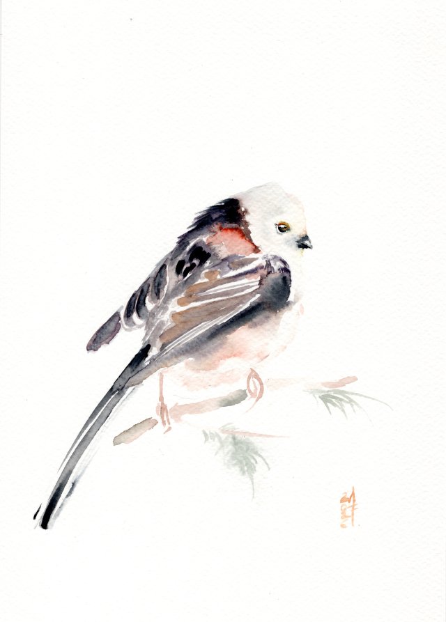 Oryginalna akwarela. Raniuszek