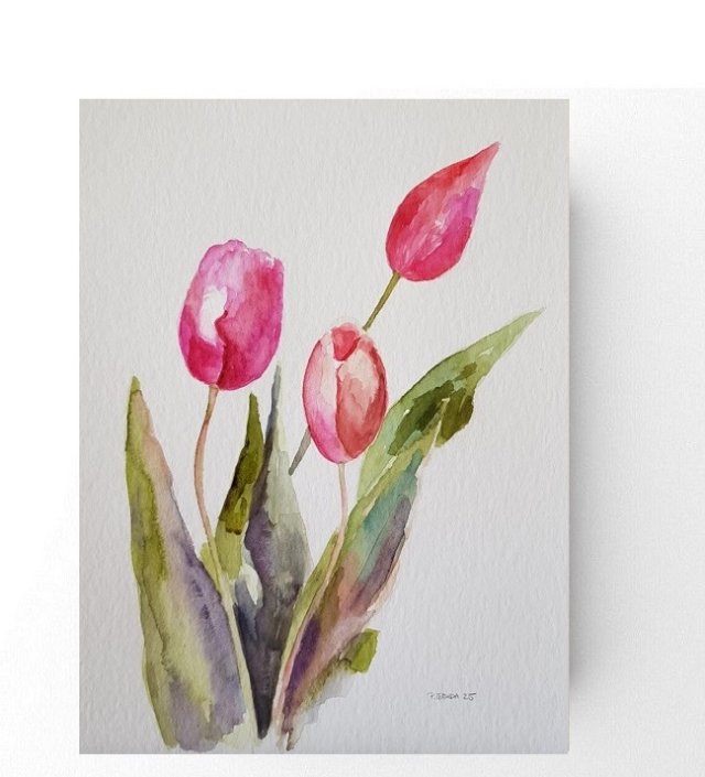 Tulipany  -akwarela
