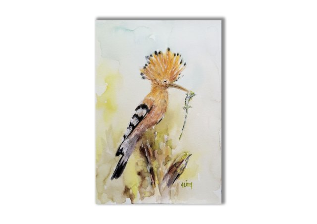 Akwarela ręcznie malowana  "Dudek" ptaki