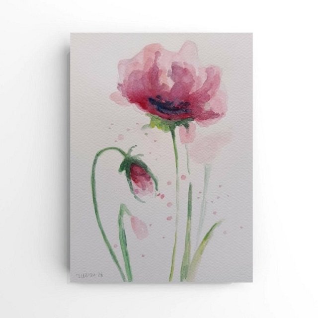 Maki 3- obraz  akwarela