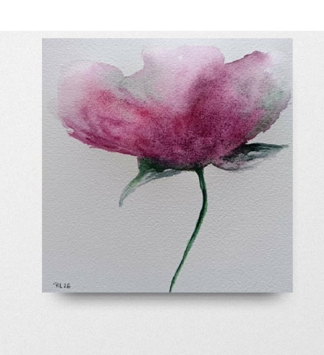 Mak- obraz  akwarela