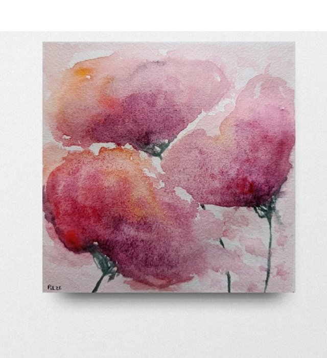 Maki- obraz  akwarela